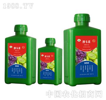 葡萄專用氨基酸螯合液肽肥-摩卡素-強(qiáng)芯國(guó)際