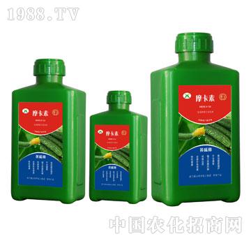 黃瓜專用氨基酸螯合液肽肥-摩卡素-強(qiáng)芯國際