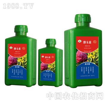 花卉專用氨基酸螯合液肽肥-摩卡素-強芯國際