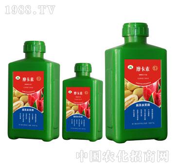 瓜類水果專用氨基酸螯合液肽肥-摩卡素-強(qiáng)芯國(guó)際