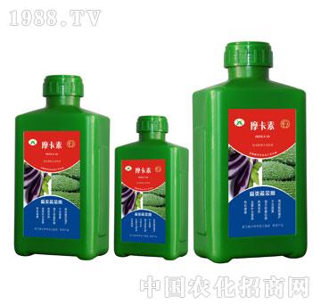 瓜類蔬菜專用氨基酸螯合液肽肥-摩卡素-強(qiáng)芯國際