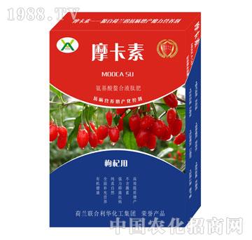 枸杞專用氨基酸螯合液肽肥-摩卡素-強(qiáng)芯國際