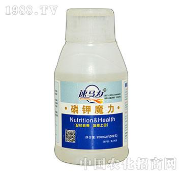 ���ħ��-���R��-�а����r