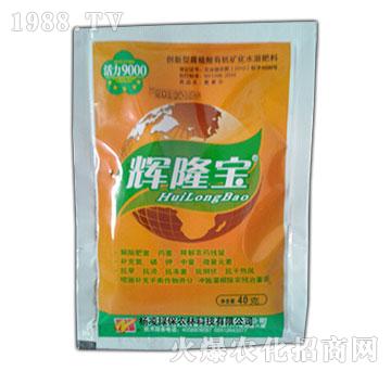 輝隆寶-蔬菜果樹苗木水稻促進(jìn)開花掛果增產(chǎn)腐殖酸葉面肥