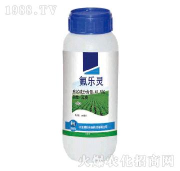 45.5%氟樂(lè)靈-輝科