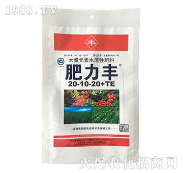大量元素水溶肥料20-10-20+TE-肥力豐-一心化工