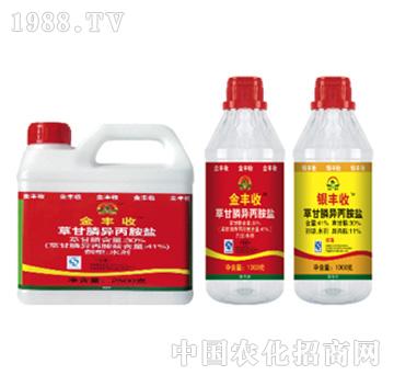 41%�ݸ�좮������}-���{(l��n)