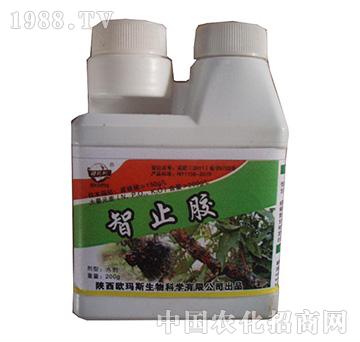 獼猴桃智止膠-歐瑪斯