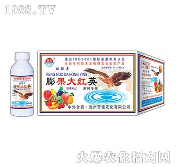 400g膨果大紅英-奇寶農(nóng)化