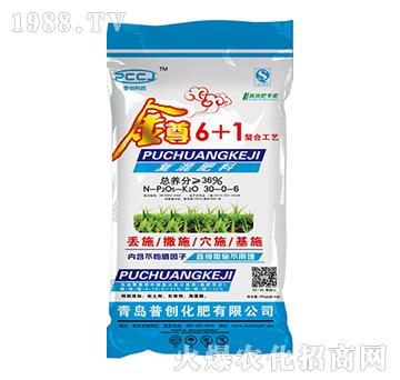 金樽6+1-普創(chuàng)