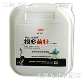 �������-����