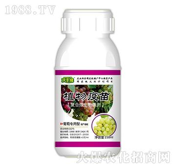 ֲ�����磨���ь����ͣ�-���S¡-��