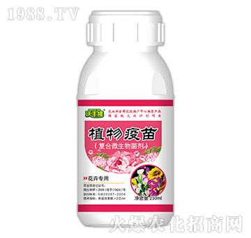 ֲ�����磨���܌����ͣ�-���S¡-��