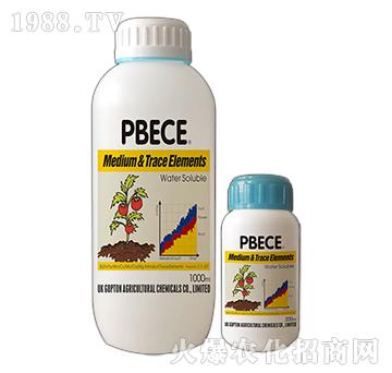 中微全補-亞瑟夫