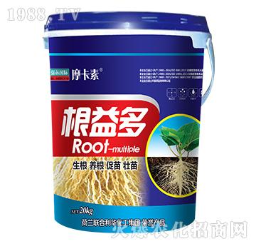 根益多-摩卡素-強(qiáng)芯國際