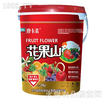 花果山-摩卡素-強芯國際