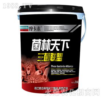 菌林天下三菌聯(lián)盟-摩卡素-強(qiáng)芯國際