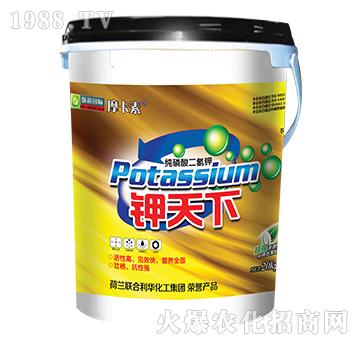 鉀天下-摩卡素-強(qiáng)芯國際