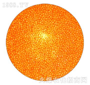 橘黃色樹脂包膜尿素-忠農(nóng)肥業(yè)