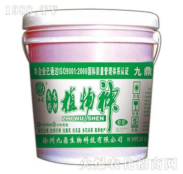 ֲ����-�Ŷ�-�ذ�Ȫ