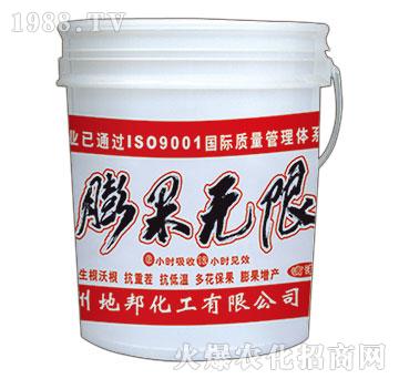 ����o��-�ذ�Ȫ