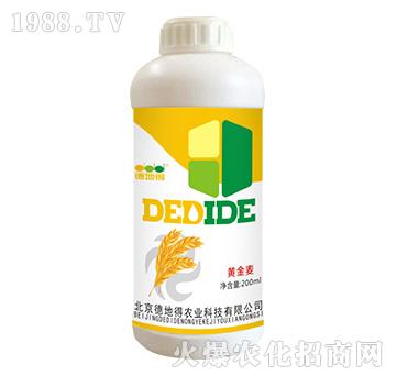 黃金麥專用-德地得