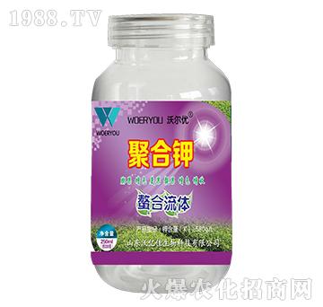 �ۺ��-�֠���(y��u)