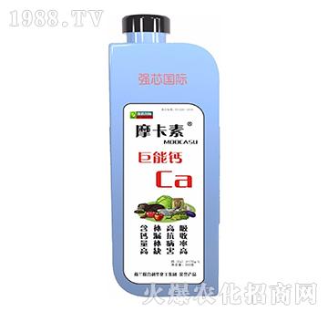 巨能鈣-摩卡素-強芯國際