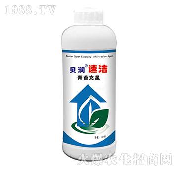 ��̦����-ؐ��(r��n)�ٝ�-ɭ��