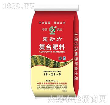 �������ͺϷ���18-22-5-���r