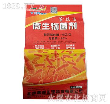 ΢�������-��z��-���r