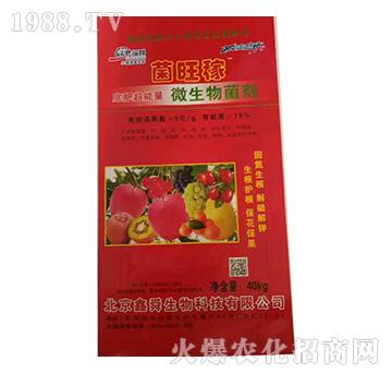 ΢�������-������-���r