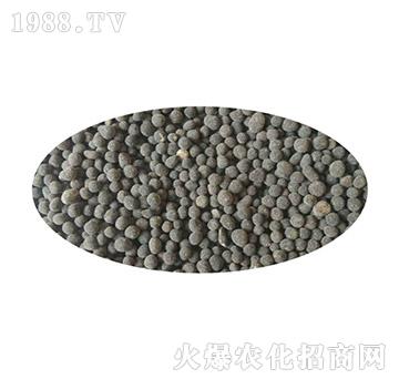 ������������-�֠���(y��u)