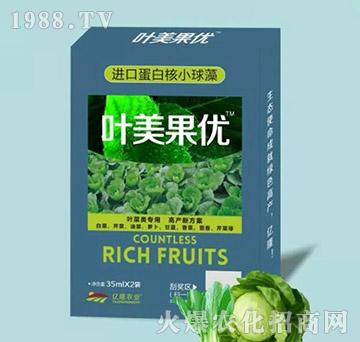 葉菜類專用調節(jié)劑-葉美果優(yōu)-億隆農業(yè)