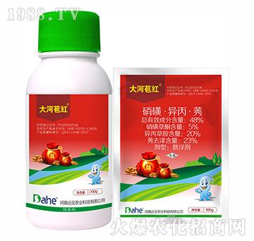 48%硝磺·異丙·莠-大河苞紅-遠(yuǎn)見農(nóng)業(yè)