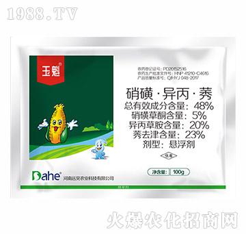 48%硝磺·異丙·莠-玉魁-遠(yuǎn)見(jiàn)農(nóng)業(yè)
