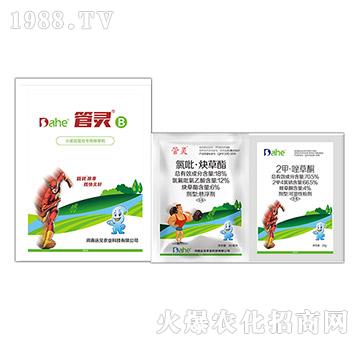 管靈B-遠(yuǎn)見農(nóng)業(yè)