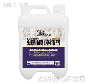 魚蛋白型爆根密碼-鯨靈-新啟力