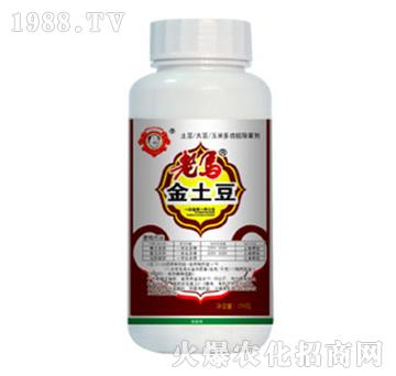 老馬金土豆-惠耘農(nóng)業(yè)