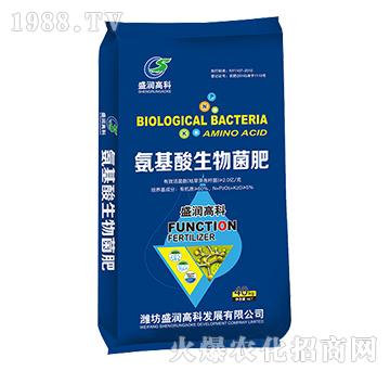 �������������-ʢ���߿�