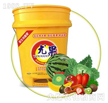 �ȹ���΢������ʣ�-�Ԡ��G��