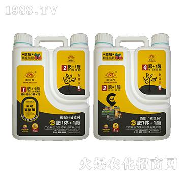 ��ݮ��(zhu��n)�ã������~ʢ��-