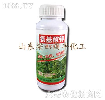 �������-��ɽ���S