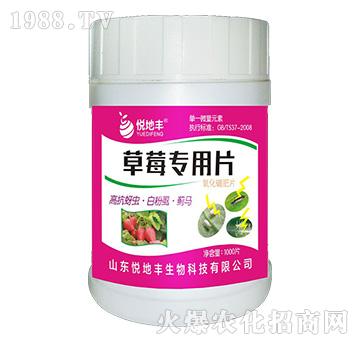 草莓專用片（一棵一片）-悅地豐