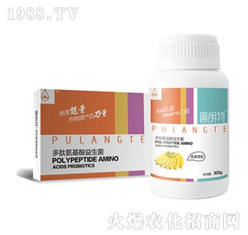 �㽶����-���İ�����������-������