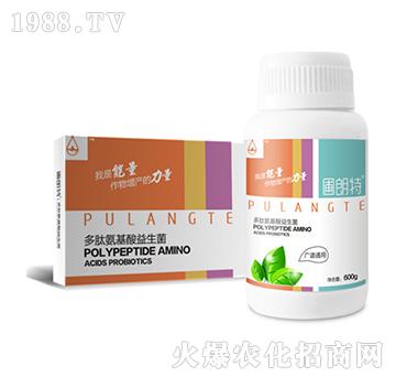 �V�Vͨ��-���İ�����������-������