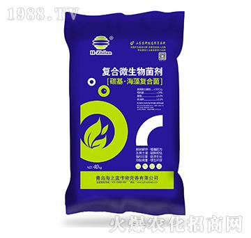 ��(f��)��΢�������-̼�������(f��)�Ͼ�-��֮�{(l��n)