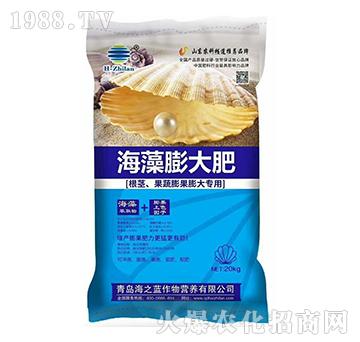 海藻膨大肥-海之藍(lán)