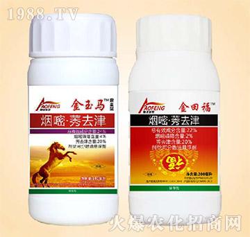 24%���ס�ݬȥ��-�����R-ͬ�S