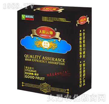 天膨元帥-強(qiáng)芯國(guó)際